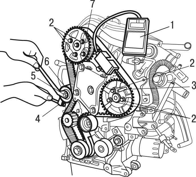 схема ремня генератора пежо 206