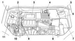 Общий вид подкапотного пространства автомобилей с двигателями ZJ и Z6