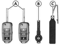 Комплект ключей автомобиля Passat